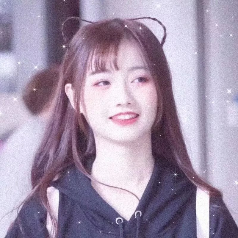 戴帽子的猫